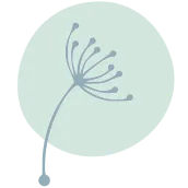 Logo Despertar Conciencia